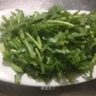 Garlic artery