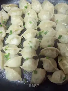 Fried dumplings
