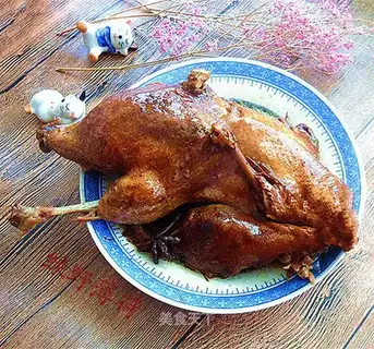 Duck