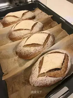 Field bread