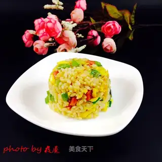 Pelican egg fried rice