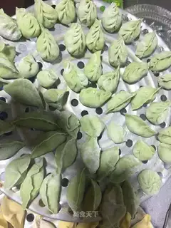 Vegetable dumplings