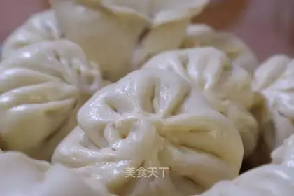 Meat bun with fungus and onion
