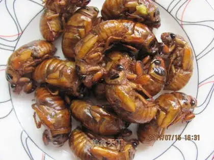 Crispy Golden Cicada