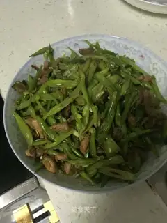 Four seasons of bean fried meat
