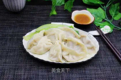 Beef dumplings