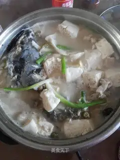 Fish tofu pan