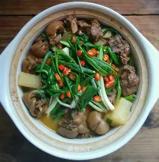 A lamb stew with carrots