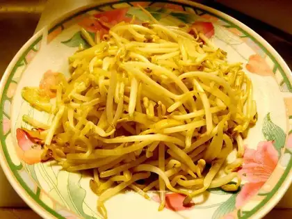 Green bean sprouts
