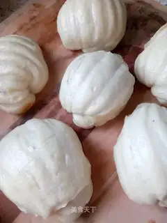 The conch roll