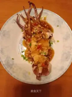 The white squid