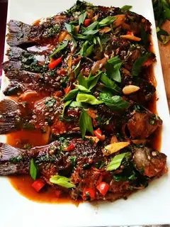 Red-burned mackerel