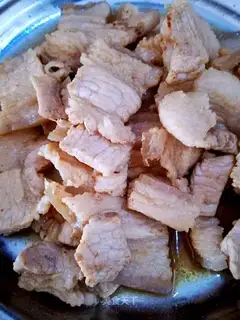 Fried meat