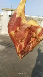 Duck leg