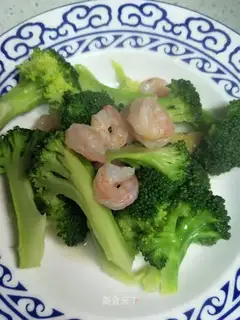 Slender shrimp