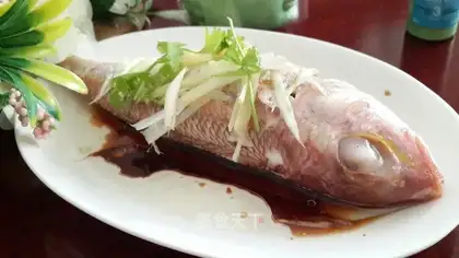 Fresh rainbow trout