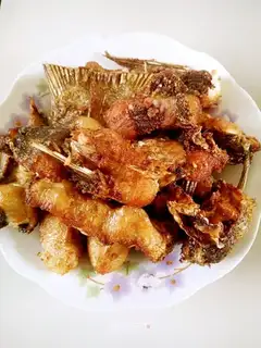 Fish