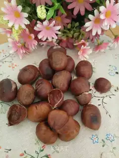 Coughpot chestnuts