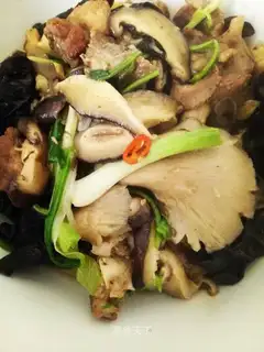 Scrambled mushrooms