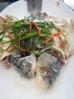 Steamfish