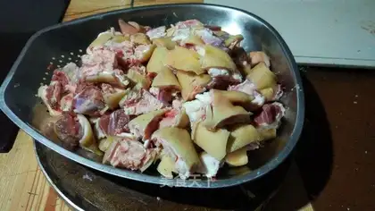 Pork foot autopsy