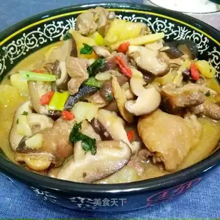 Chicken-legged mushrooms