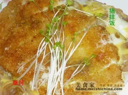 Pork Chop Rice