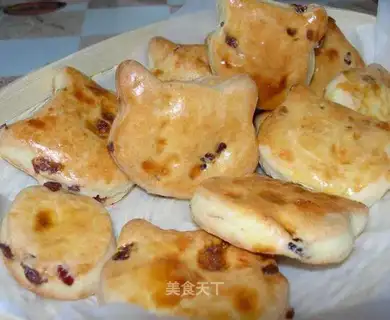 Cranberry Scone
