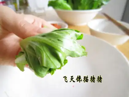 Beef and lettuce roll