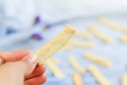 Tofu fingers