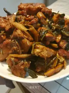 Carrot, rabbit