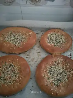 The whole wheat bag