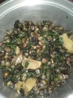 Snails