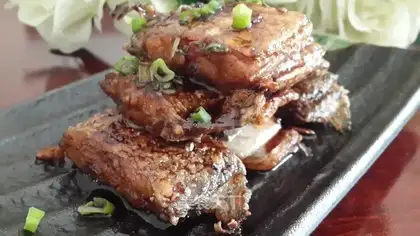 Jell-O fish