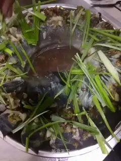 Fresh eels