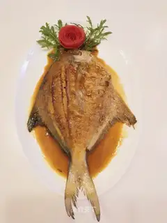 Red-burned mackerel