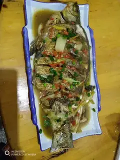 Red-burned mackerel