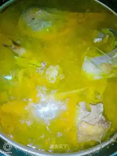 Pond duck