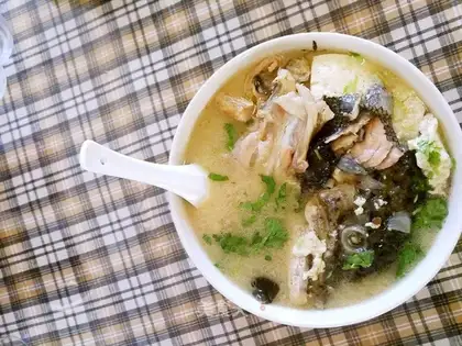 Tofu with salmon head