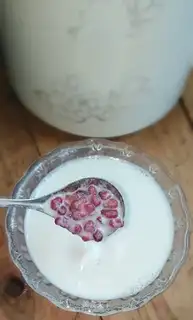 Bean-mealing beans
