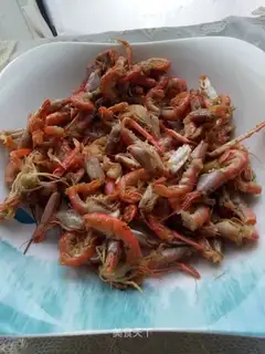 Shrimp