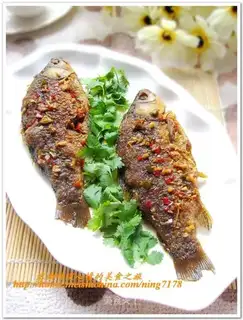Xiangjiang River Carp