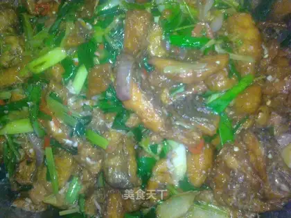 braised fish