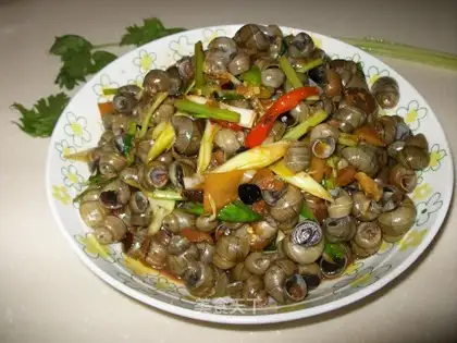 Preserved field snail
