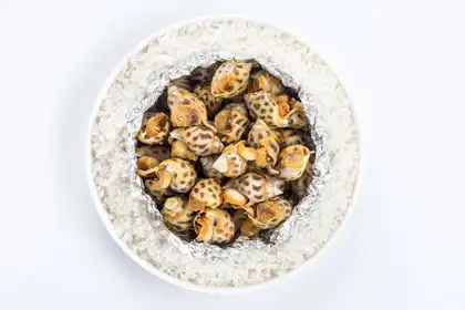 Salt snails