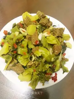 Sour beef stew