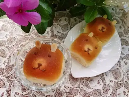 Bear squeezes bread