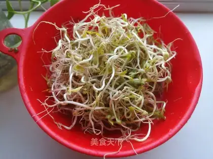 Home with green bean sprouts