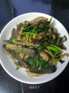 Pingo spinach