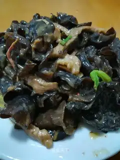 Spam
